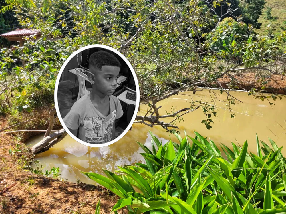 Goiabeira onde a criança brincava fica em cima do tanque de peixes. — Foto: Redes Sociais