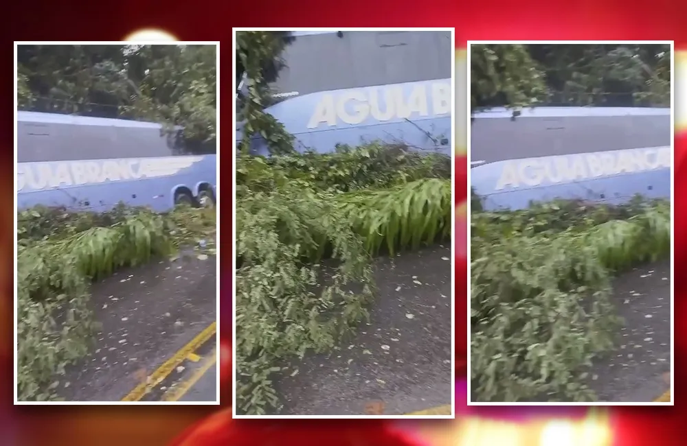 Foto: Reprodução Redes Sociais